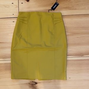 NWT Express Highwaisted Skirt